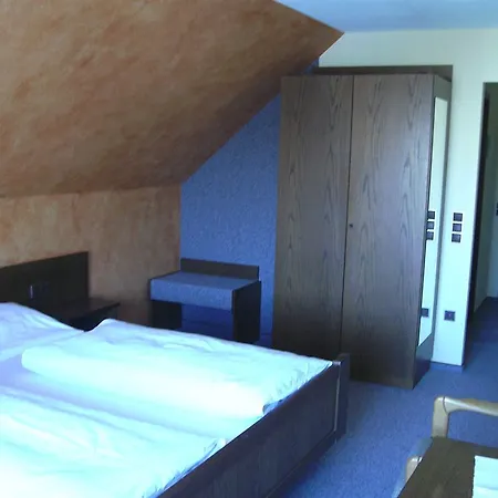 Zum Ross Guest house 3*